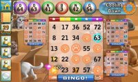 Cкриншот Bingo Cats, изображение № 1473999 - RAWG