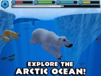 Cкриншот Polar Bear Simulator, изображение № 1968048 - RAWG