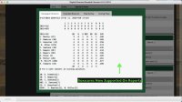 Cкриншот Digital Diamond Baseball V9, изображение № 2768678 - RAWG