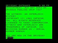 Cкриншот The Witness (1983), изображение № 750672 - RAWG