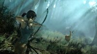 Cкриншот Tomb Raider (2013), изображение № 276768 - RAWG