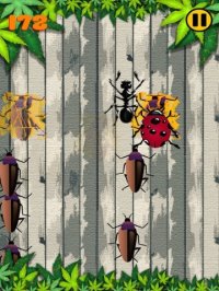 Cкриншот Bugs Crusher - قاتل الحشرات أشهر لعبة مجاني فى العاب ايفون و العاب ايباد, изображение № 2608704 - RAWG