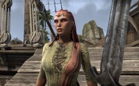 Cкриншот The Elder Scrolls Online, изображение № 593992 - RAWG