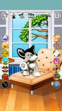 Cкриншот Talking Dog Husky Puppy, изображение № 1586374 - RAWG