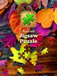 Cкриншот Jigsaw Puzzle Pro, изображение № 2036703 - RAWG
