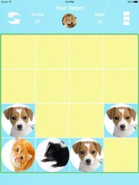 Cкриншот 2048 Animals, изображение № 1604415 - RAWG