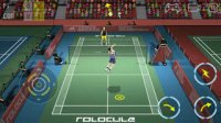 Cкриншот Super Badminton, изображение № 66631 - RAWG