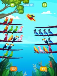 Cкриншот Bird Sort Puzzle, изображение № 3337672 - RAWG