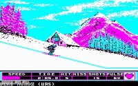 Cкриншот Winter Games, изображение № 336427 - RAWG