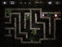 Cкриншот The Ancient Maze, изображение № 1748043 - RAWG