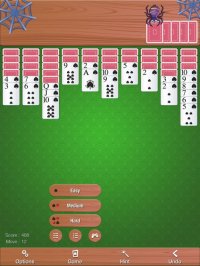 Cкриншот Relaxed Spider Solitaire Pro, изображение № 894180 - RAWG