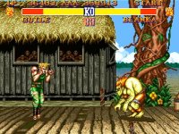 Cкриншот Street Fighter II: The World Warrior (1991), изображение № 786366 - RAWG