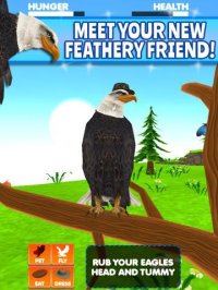 Cкриншот Virtual Pet Eagle, изображение № 1968132 - RAWG