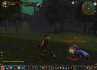 Cкриншот World of Warcraft, изображение № 352117 - RAWG