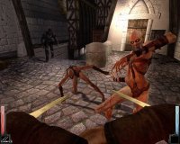 Cкриншот Dark Messiah of Might and Magic, изображение № 1749776 - RAWG