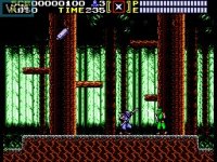 Cкриншот Ninja Gaiden (Master System), изображение № 2149693 - RAWG