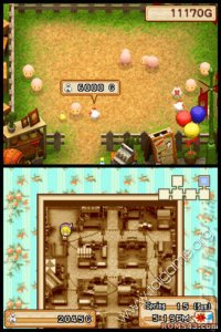 Cкриншот Harvest Moon DS: Grand Bazaar, изображение № 3277570 - RAWG