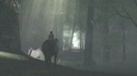 Cкриншот The ICO & Shadow of the Colossus Collection, изображение № 725507 - RAWG