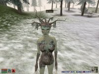 Cкриншот The Elder Scrolls 3: Bloodmoon, изображение № 361995 - RAWG