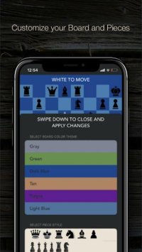 Cкриншот Blindfold Chess Puzzles, изображение № 2479378 - RAWG