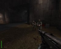 Cкриншот Return to Castle Wolfenstein, изображение № 228775 - RAWG