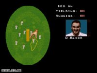 Cкриншот Cricket '96, изображение № 304650 - RAWG