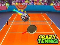 Cкриншот The Crazy Tennis, изображение № 1683038 - RAWG