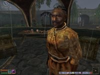 Cкриншот The Elder Scrolls 3: Tribunal, изображение № 292473 - RAWG