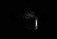 Cкриншот Slender: Strange Forest, изображение № 625096 - RAWG