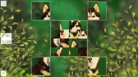 Cкриншот Puzzle Art: Dogs, изображение № 3037750 - RAWG