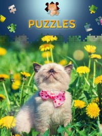 Cкриншот Cats Jigsaw Puzzles 2017, изображение № 966966 - RAWG