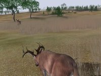 Cкриншот Deer Hunter 2004, изображение № 356749 - RAWG