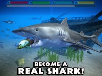 Cкриншот Ultimate Shark Simulator, изображение № 954974 - RAWG