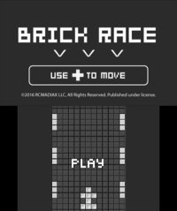 Cкриншот BRICK RACE, изображение № 266189 - RAWG