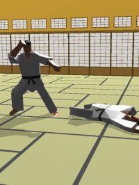 Cкриншот touch Karate (Universal), изображение № 1808603 - RAWG