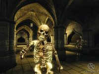 Cкриншот The Elder Scrolls IV: Oblivion, изображение № 699241 - RAWG