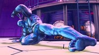 Cкриншот Street Fighter 4, изображение № 490957 - RAWG