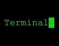 Cкриншот Terminal (Max Mallory), изображение № 1077659 - RAWG