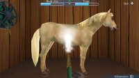 Cкриншот My Riding Stables - Life with Horses, изображение № 1731273 - RAWG