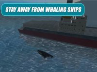 Cкриншот Whale Survival Simulator 3D - Ocean animal survival simulator, изображение № 1625914 - RAWG