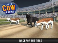 Cкриншот Cow Racing Free Game, изображение № 1780005 - RAWG