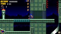 Cкриншот Sonic Frenzy Adventure, изображение № 2530696 - RAWG