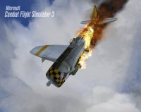 Cкриншот Microsoft Combat Flight Simulator 3: Battle for Europe, изображение № 311271 - RAWG