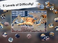 Cкриншот Venn Tigers: Overlapping Jigsaw Puzzles, изображение № 1788597 - RAWG