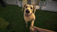 Cкриншот Pets Hotel: Prologue, изображение № 3501487 - RAWG