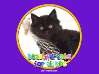 Cкриншот beautiful cats for all kids - free game, изображение № 1669873 - RAWG