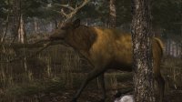 Cкриншот Elk Simulator, изображение № 1831136 - RAWG