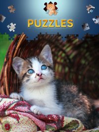 Cкриншот Cats Jigsaw Puzzles 2017, изображение № 966972 - RAWG