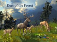 Cкриншот Deer of the Forest, изображение № 973736 - RAWG