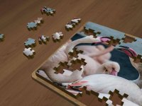 Cкриншот Valentines Super Jigsaws, изображение № 1330836 - RAWG